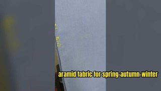 aramidestof voor werkkleding lente-herfst-winter
