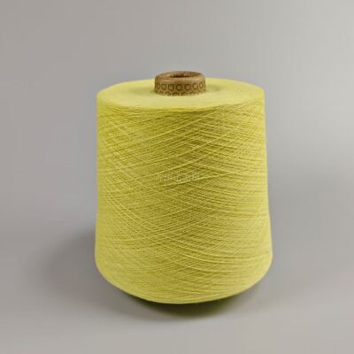 Hoge Duurzaamheid Para Aramid Garen Garennummer 30S2 Geschikt voor de Productie van Duurzame Beschermende en Versterkte Textielsoorten