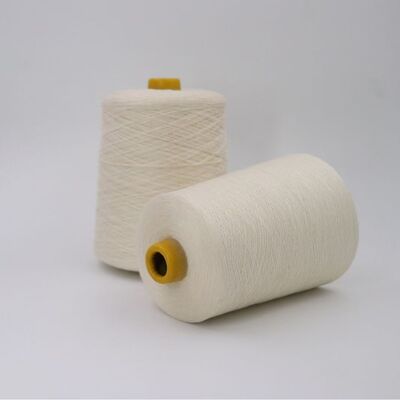 Hoge Duurzaamheid Para Aramid Garen Garennummer 30S2 Geschikt voor de Productie van Duurzame Beschermende en Versterkte Textielsoorten
