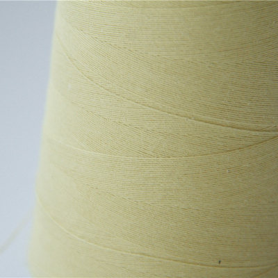 40 TEX Para Aramid Sewing Machine Draad voor het Breien en het Naaien